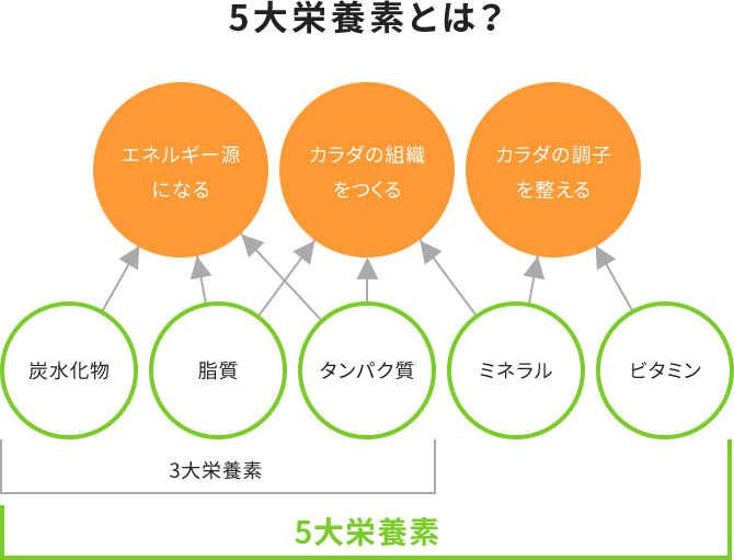 ライフパック タブレット製品詳細｜ニュー スキン食事バランスチェックアプリ！一日の栄養素を一目で計算